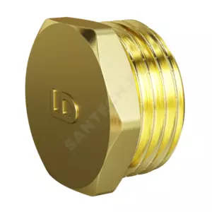 Заглушка латунь Ду 50 (2") НР LD LD.65.505.50